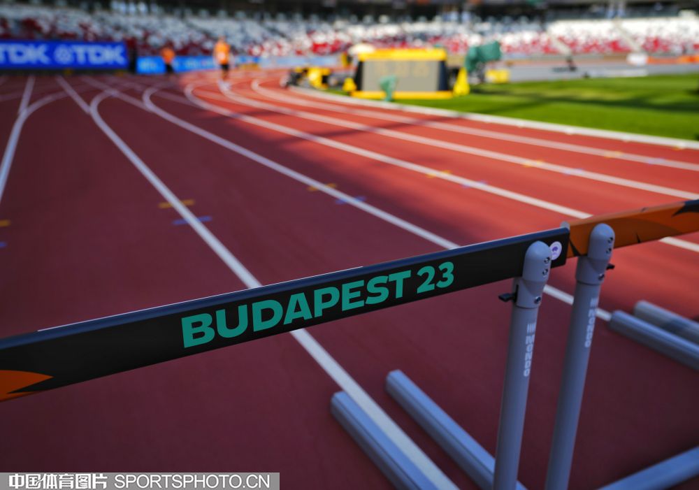 的全明星球 的全明星球