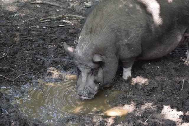 递战术及心 递战术及心